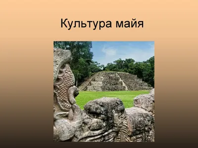 Тайные знания цивилизации майя: календарь, магия крови, ритуал вырывания  сердец