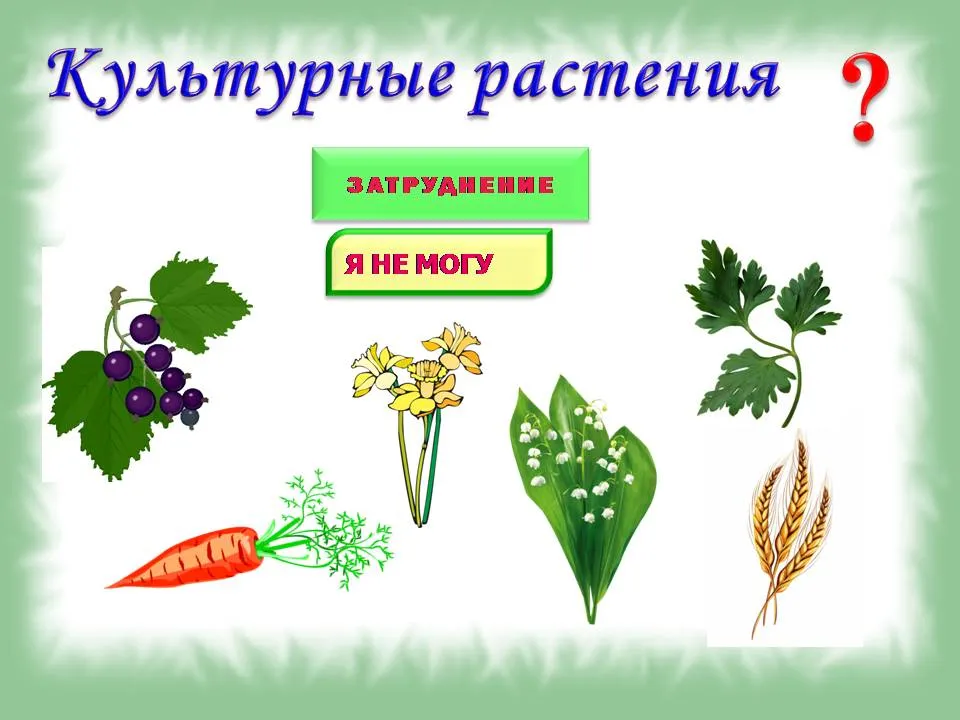 Дикорастущие и культурные растения - YouTube Дикорастущие и культурные растения - YouTube