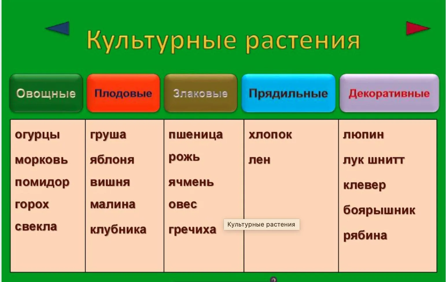 Ответы Mail.ru: подготовить сообщение о культурных растений Ответы Mail.ru: подготовить сообщение о культурных растений