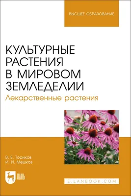 Культурные растения смешанных лесов - 65 фото