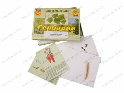 Культурные растения: от зерна до цветов» — создано в Шедевруме