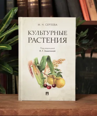 Гербарий «Сельскохозяйственные растения»: продажа, цена в Астане. Садовые  растения и грунты, общее от \"ATTECH - комплексное оснащение образовательных  учреждений\" - 104456800