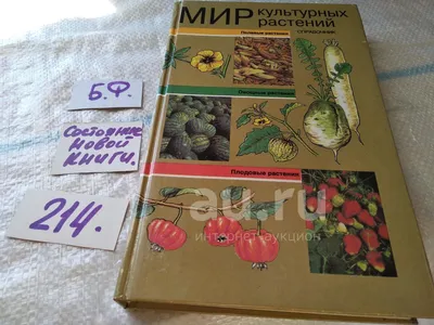 Культурное растение рисунок - 69 фото