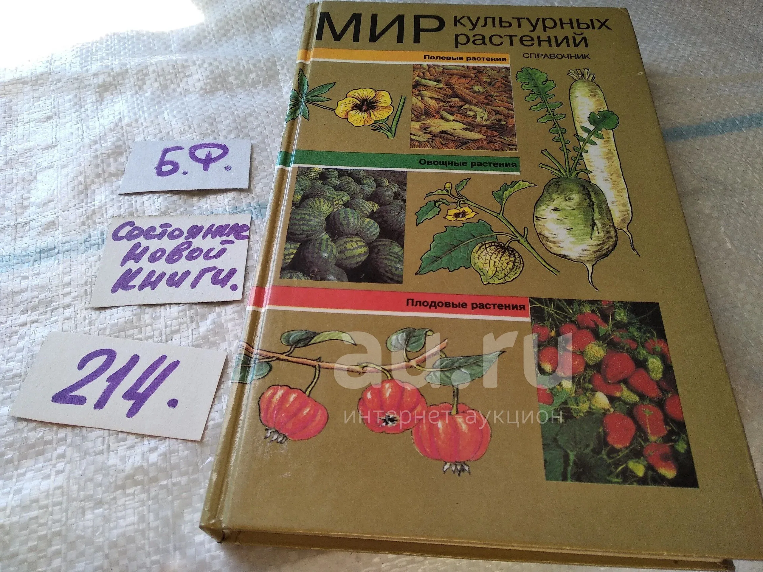 Культурное растение рисунок - 69 фото Культурное растение рисунок - 69 фото