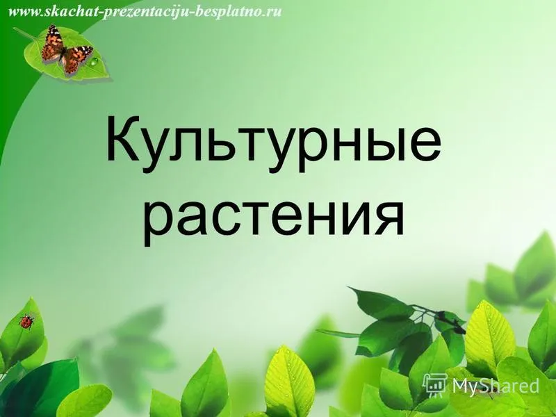 Стикеры «Домашние растения» | Набор наклеек для оформления ежедневника, лд, блокнота Стикеры «Домашние растения» | Набор наклеек для оформления ежедневника, лд, блокнота