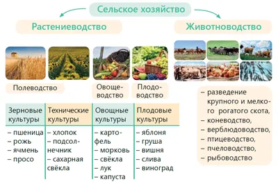 28 сентября 2022 – Мастер-класс \"Культурные растения в пищевом и  эстетическом дизайне\" | Анонсы событий РГАУ-МСХА