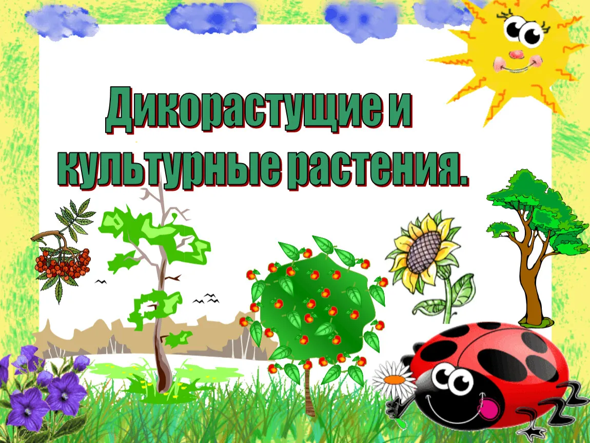 Гербарий «Культурные растения» (арт. gdb0003). Купить по низкой цене. Доставка по России — «РиалТорг-Детям» Гербарий «Культурные растения» (арт. gdb0003). Купить по низкой цене. Доставка по России — «РиалТорг-Детям»
