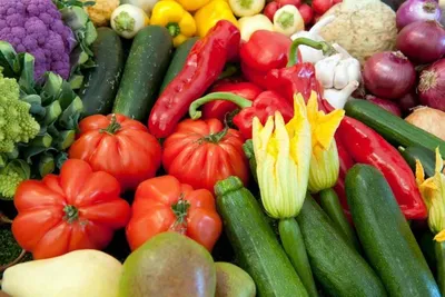 Общая характеристика и классификация культурных растений - презентация  онлайн