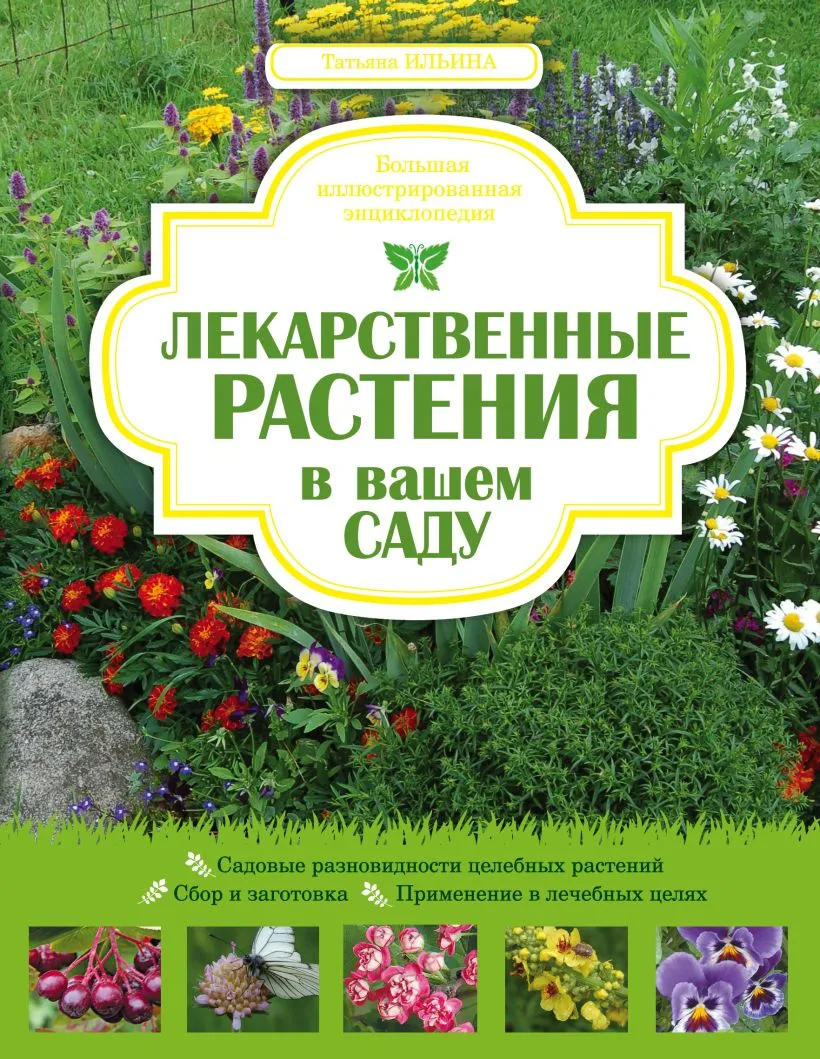Исследования культурных растений или опыты с ними - YouTube Исследования культурных растений или опыты с ними - YouTube