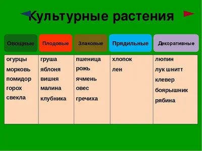 Книга Лекарственные растения в вашем саду Большая иллюстрированная  энциклопедия Татьяна Ильина - купить, читать онлайн отзывы и рецензии |  ISBN 978-5-699-55914-5 | Эксмо