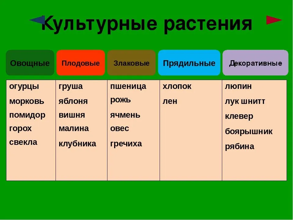 Книга Лекарственные растения в вашем саду Большая иллюстрированная энциклопедия Татьяна Ильина - купить, читать онлайн отзывы и рецензии | ISBN 978-5-699-55914-5 | Эксмо Книга Лекарственные растения в вашем саду Большая иллюстрированная энциклопедия Татьяна Ильина - купить, читать онлайн отзывы и рецензии | ISBN 978-5-699-55914-5 | Эксмо
