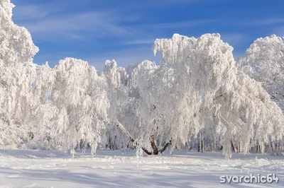 Кумысная поляна с высоты