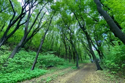 Саратов Life - Кумысная поляна 🌳 Фото: Владимир Келлинс | Facebook