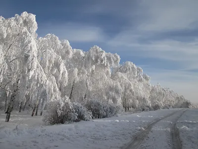 Саратов, Кумысная Поляна, 2010