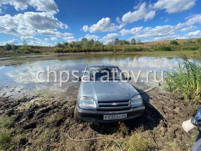 Алиса в городах — LiveJournal