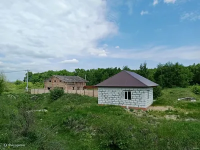 На Кумысной поляне в Саратове нашли автомобиль с телами мужчины и женщины