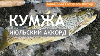 Ловля кумжи и щуки на Кольском полуострове. Часть 2