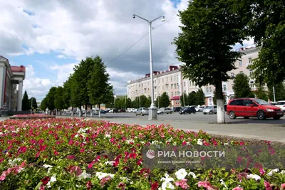 Мамаев курган в Волгограде - экскурсии 2024, цены, график работы,  официально на сайте