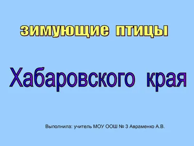 Мясо курицы и овощи: как выросли цены на продукты в магазинах Хабаровска