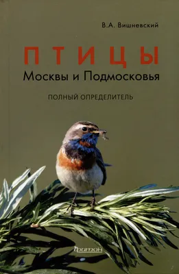 Птицы Москвы и Подмосковья. Полный определитель (Василий Вишневский) -  купить книгу с доставкой в интернет-магазине «Читай-город». ISBN:  978-5-60-486033-5