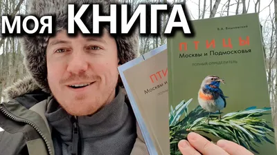 Купить книгу «Чёрная курица, или Подземные жители (иллюстр. М. Бычкова)»,  Антоний Погорельский | Издательство «Азбука», ISBN: 978-5-389-15174-1