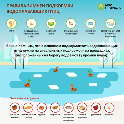 Полуфабрикат \"Наггетсы Традиционные\" куриные запеченные в панировке (пакет)  1,115 кг с/м, Компас Фуд — купить по цене 501 руб. ◈ Интернет магазин АРОСА  Маркет