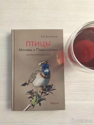 Приправа для курицы 50 г - купить в интернет-магазине в Москве, оптом и в  розницу