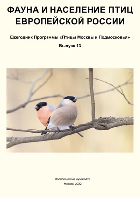 Продам: опт говядины, свинины, курицы, баранины в Москве