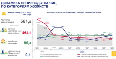 Омское УФАС проводит проверку производителей куриного мяса и яиц | ОБЩЕСТВО  | АиФ Омск