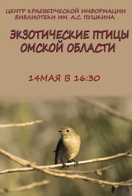 Омские деликатесы: филе курицы продается по цене сета суши • TOP24 • Омск