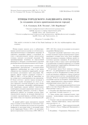 У раненой совы, которую увезли из Омска в Новосибирск, нашли сотрясение  мозга | Общество | Омск-информ