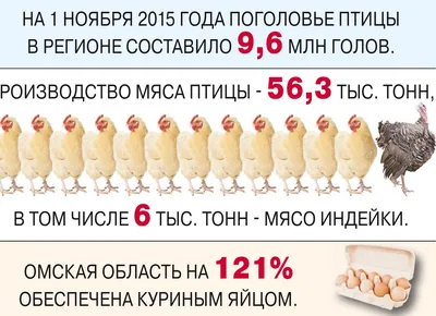 Топ-5 необычных птиц Омской области - Общество