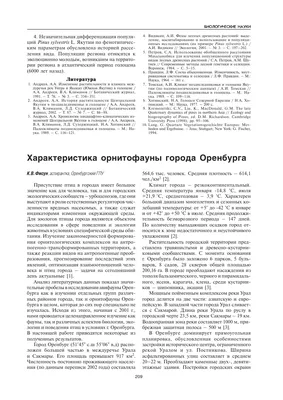 Крупную птицефабрику в Оренбуржье хотят продать, а людей, вероятно, уволят  | ЭКОНОМИКА | АиФ Оренбург