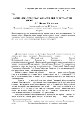 В Самарской области ввели карантин из-за птичьего гриппа