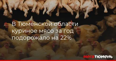 Смесь сухая Maggi На второе для сочной курицы с чесноком, 38г - купить с  доставкой в Тюмени в Перекрёстке