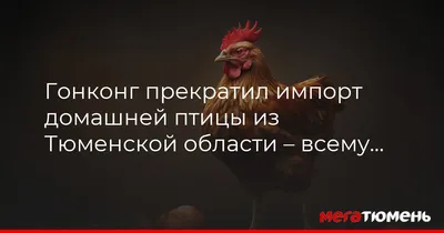 Из-за вспышки гриппа в Японии уничтожат рекордное количество птиц — 15 млн  - 02.03.2023, Sputnik Кыргызстан