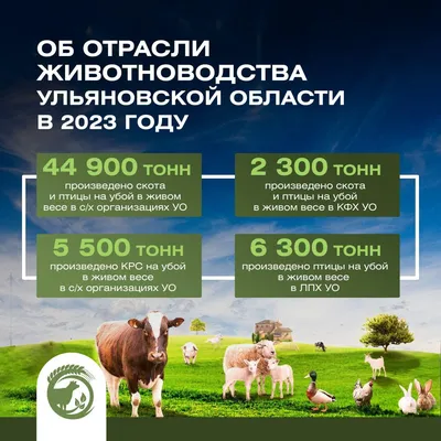 Ульяновским многодетным семьям продадут кур-несушек в 5 раз дешевле  рыночной цены | Главные новости Ульяновска