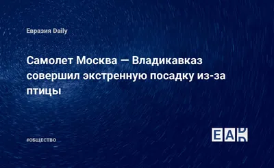 Служба доставки осетинских пирогов Ирон пирог - отзывы, фото, цены, телефон  и адрес - Бытовые услуги - Улан-Удэ - Zoon.ru