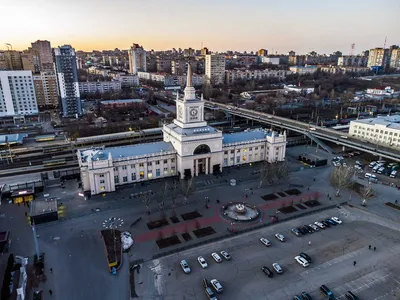 В Волгограде дорожают куриные яйца, десяток стоит 127 рублей