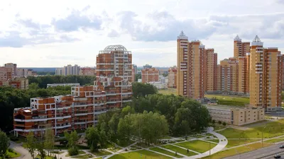 Краснокнижных тритонов заметили в Куркино в Москве - РИА Новости, 17.06.2021