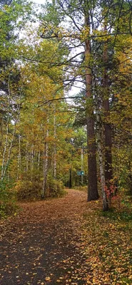 Многопрофильный курорт «Ангара», Иркутск | Irkutsk