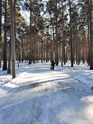 Многопрофильный курорт «Ангара», Иркутск | Irkutsk