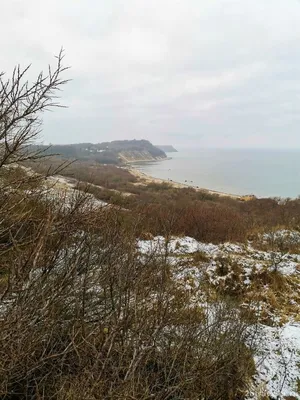 Отели на побережье или летний отдых на море в Калининградской области |  Калининград глазами гида | Дзен