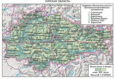 10 лучших достопримечательностей Курской области - Tripadvisor