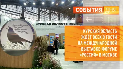 Стенд «Соловьи и железо» представила Курская область на выставке «Россия» |  Практика на РБК+ Черноземье