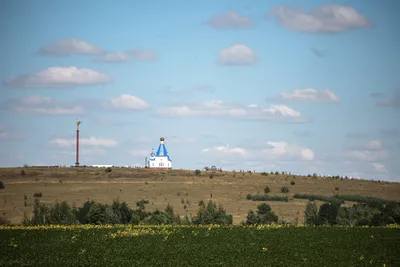 Курская область вносит вклад в развитие инвестиций в ЦФО | Инвестиционный  портал Курской области