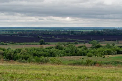 Векторный герб Курской области — Abali.ru