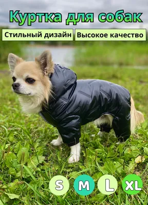 Купить утеплённую куртку для собак Collar WAUDOG Clothes с рисуноком  \"Бэтмен винтаж\"