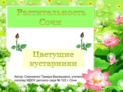 Какие цветы растут в Сочи🌺