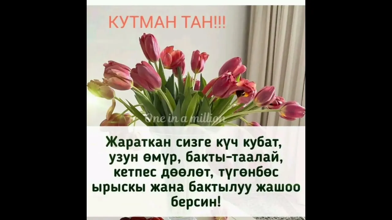 Pin by Chynara Konokbaeva on Кутмандуу таң | Lei necklace Pin by Chynara Konokbaeva on Кутмандуу таң | Lei necklace